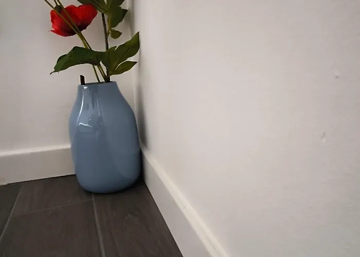 Daire Eveve's House *